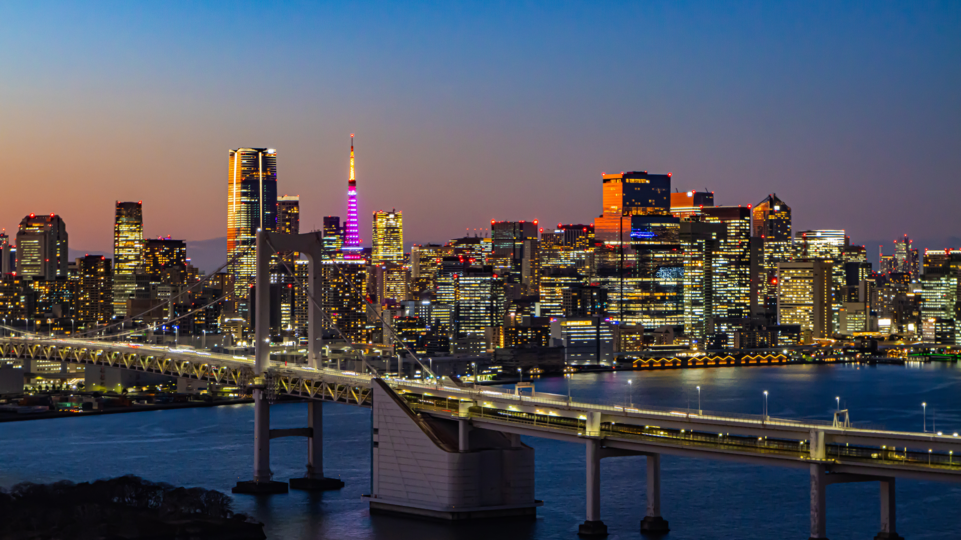 株式会社クレーヴの事業内容